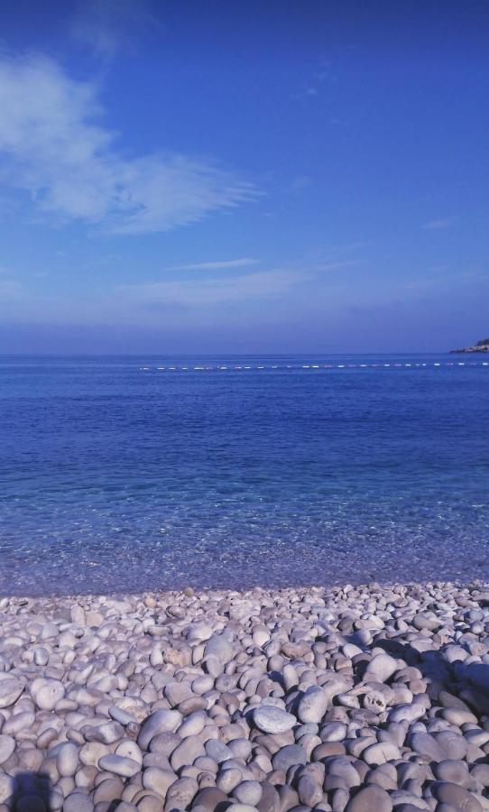 Apartmani Ljubica يوتجيها المظهر الخارجي الصورة