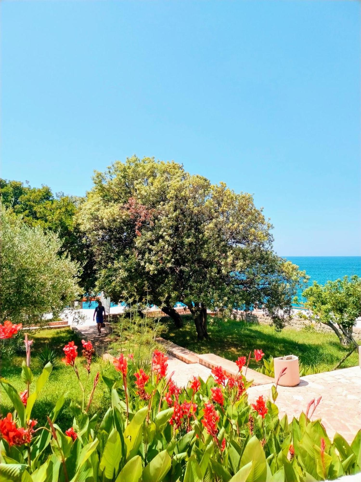 Apartmani Ljubica يوتجيها المظهر الخارجي الصورة